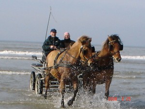 Attelage à marée basse