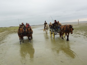 Promenade dans la baie de Somme