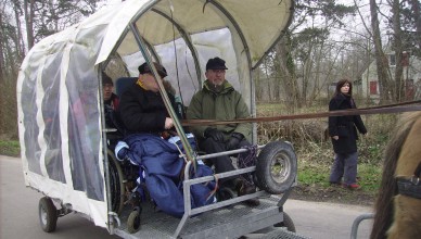 Attelage adapté handicap