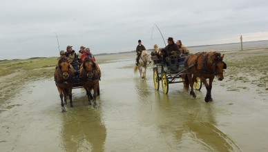 Promenade dans la baie de Somme