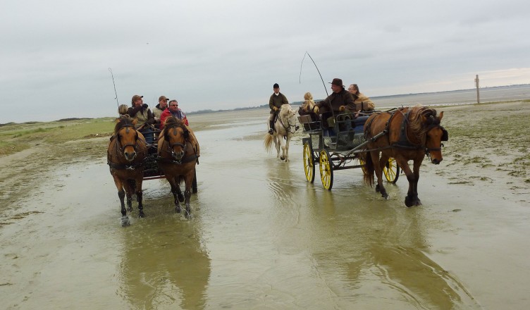 Promenade dans la baie de Somme